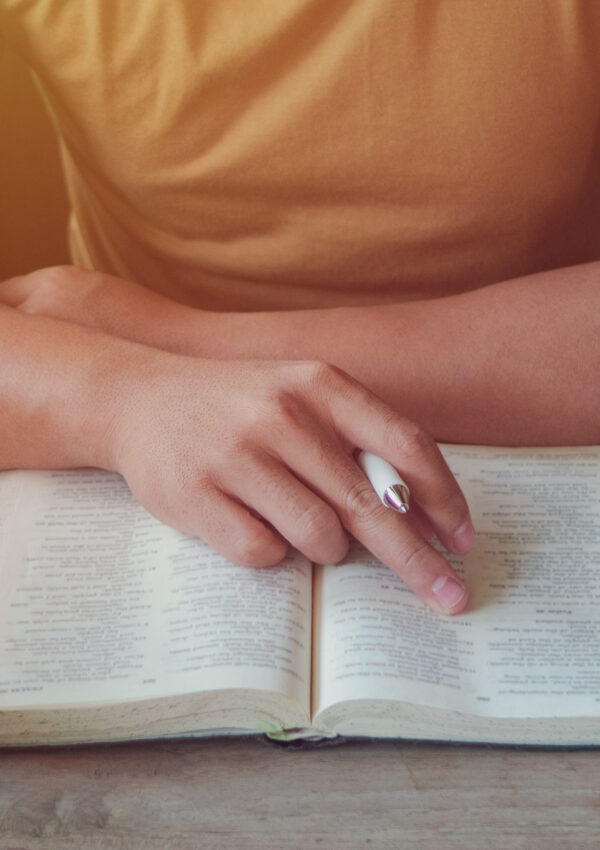 What is a Devotional Bible? 5-Step Guide to Understand Books of the Bible