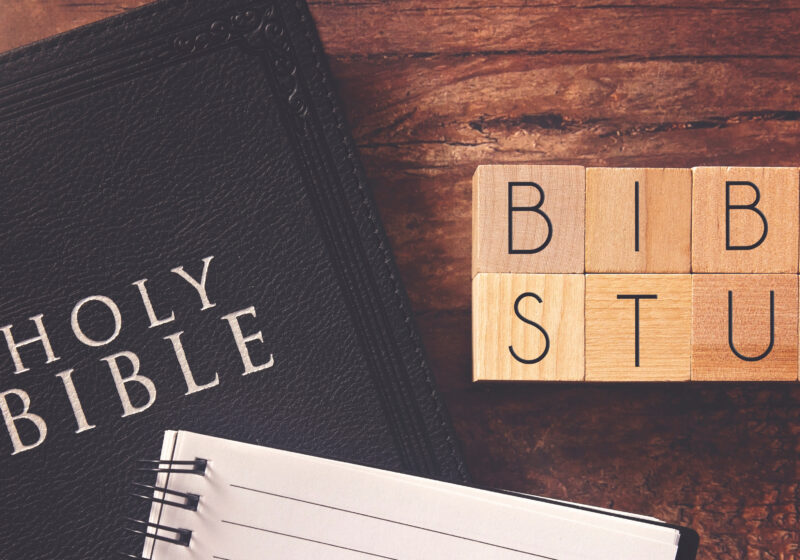 studying the bible for beginners