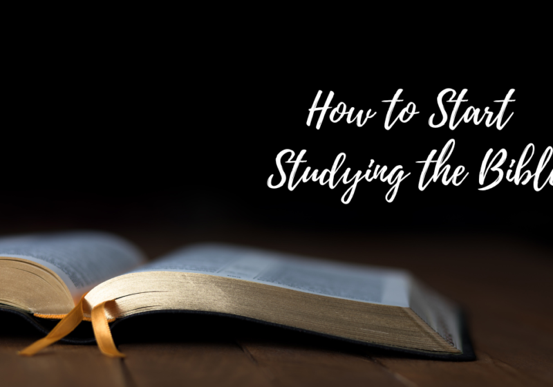 how to start studying the bible