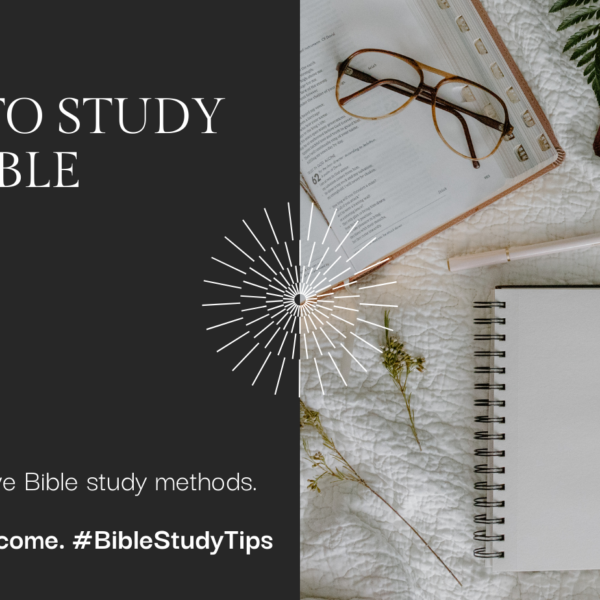 how to study the bible 3 simple steps